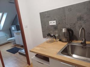 Kuchyň nebo kuchyňský kout v ubytování Apartmán Dvořák 194 pod Svatou horou