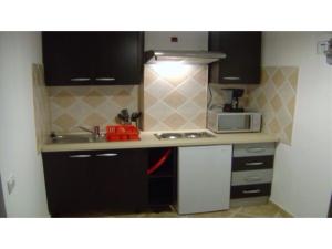 Kuchyň nebo kuchyňský kout v ubytování Studio Victoriei