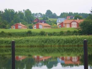 a group of houses in a field next to a body of water at Luxury holiday house "Schleibrise" in Hestoft