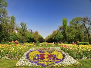 a flower clock in the middle of a field of flowers at Studio Cismigiu Park in Bucharest