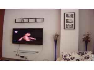 a living room with a tv on the wall at Studio Cismigiu Park in Bucharest