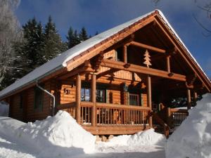 a log cabin in the snow with snow at Holiday home Placzek in Schierke