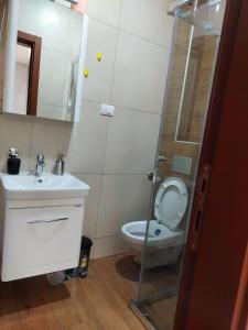 Koupelna v ubytování Apartmani DIVČI Tron 9 + 3 fotografie