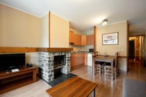 a living room with a fireplace and a kitchen at Aparthotel AnyosPark Mountain & Wellness Resort in Anyós