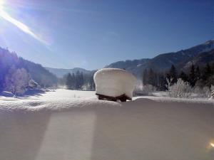 Afbeelding uit fotogalerij van Haus Hirschpoint in Faistenau