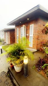 a house with some plants in front of it at HappyHideaway in Vagamon