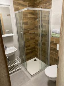 a shower in a bathroom with a toilet and a sink at Náš Sen - Apartmán in Svratouch +2 photos