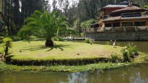 a house with a palm tree on an island in the water at El Socavón in Guaranda