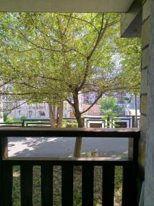 Imagine din galeria proprietății Wild Deer Studio în Bansko