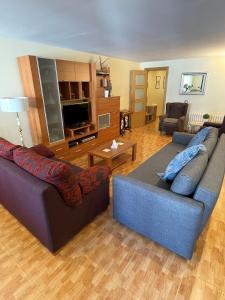 ein Wohnzimmer mit 2 Sofas und einem TV in der Unterkunft Hotel Les Truites Adults only in Pas de la Casa