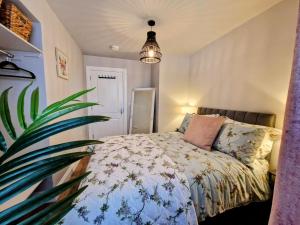 a bedroom with a bed and a potted plant at Rosie's Apartments in Killybegs
