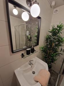 a bathroom with a sink and a mirror and a plant at Rosie's Apartments in Killybegs +9 photos