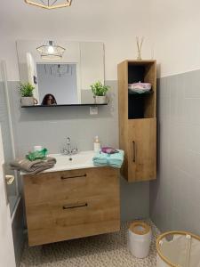a bathroom with a sink and a person in a mirror at Studio golf Juan in Golfe-Juan +39 photos