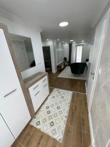 Apartman Pirović的厨房或小厨房