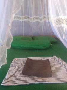 BesirHomestay taporaikos的绿化客房的一张床位,配有窗帘