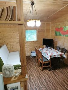 Televízia a/alebo spoločenská miestnosť v ubytovaní Domki drewniane alpejskie
