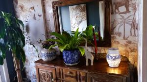 Fotografie z fotogalerie ubytování Mary's Window v destinaci Knysna
