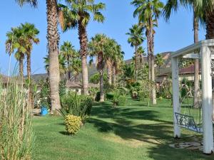a garden with palm trees and a gazebo at Adria Apartment in Lalzit Bay