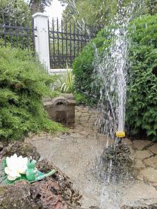 A garden outside Apartman Fontana