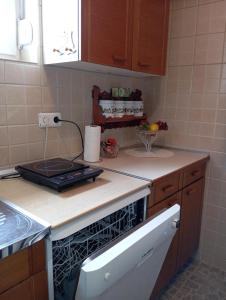A kitchen or kitchenette at Apartman Fontana