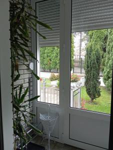 A garden outside Apartman Fontana