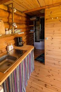 a kitchen with a sink in a wooden cabin at Veskikivi Holiday Home in Mäebe