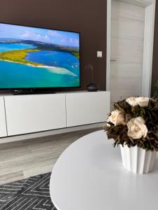 TV a/nebo společenská místnost v ubytování Apartment Künzelsau II