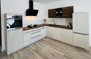 Kuchyň nebo kuchyňský kout v ubytování Apartment Künzelsau II