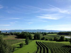 Φωτογραφία από το άλμπουμ του Ferienwohnung Alina- Penthouse Wohnung mit atemberaubendem Blick zum Bodensee σε Kressbronn am Bodensee