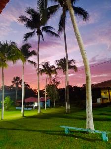 サンタレンにあるCasa Verão - Fazenda Oásis do Paráの椰子の木が茂る公園に腰掛けベンチ