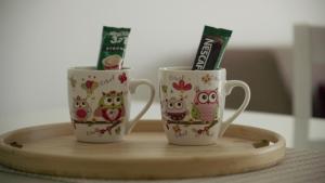 Tetera y cafetera en Sova apartman 2