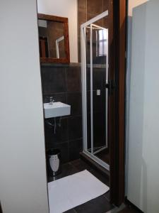 a bathroom with a shower and a sink at LISANÉ ACCOMMODATION in Middelburg +32 photos