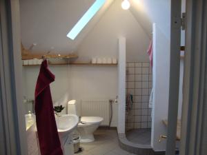 ヴィボーにあるKlosterpensionen Annexのバスルーム(白いトイレ、シンク付)
