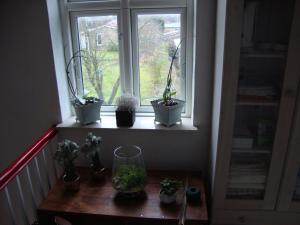 Fotografie z fotogalerie ubytování Klosterpensionen Annex v destinaci Viborg