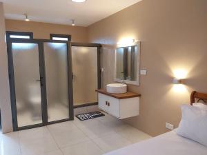 a bathroom with a sink and a shower with a mirror at Gris Gris Studio 1 in Souillac