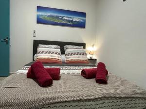 a bedroom with a bed with red pillows on it at Villa bouginvilliers in Le Tampon