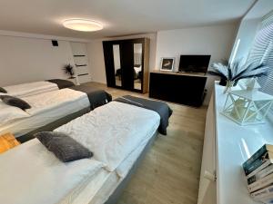 a bedroom with two beds and a desk with a television at Apartamenty Oracka Przystań Solna 1 in Bochnia