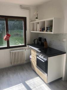 Kuchnia lub aneks kuchenny w obiekcie Chalet Gamma