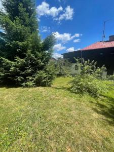 Ogród w obiekcie Chalet Gamma