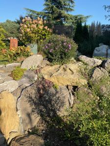 a rock garden with flowers and plants at Carmen diem in Altshausen