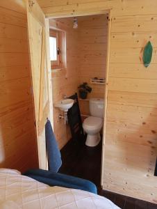 Koupelna v ubytování Adventure Cabin Retreat 'The CabAnne' No Shower