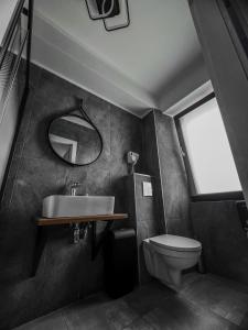 a bathroom with a sink and a toilet at Pensiunea 82 in Nădlac