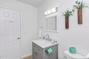 a bathroom with a sink and a toilet and a mirror at Blue Park Nest - 3BR 2BA in West Columbia +19 photos