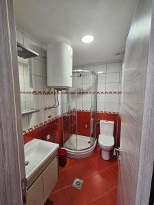 Koupelna v ubytování Apartment Anita Cetinje + 5 fotografií