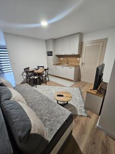 Kuchyň nebo kuchyňský kout v ubytování Apartment Anita Cetinje