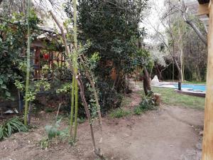 Zahrada ubytování Elquihostel