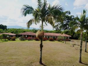 two palm trees in front of a house at Hotel campestre manantial del Quindio in Montenegro
