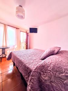Postel nebo postele na pokoji v ubytování Habitacion y Baño Privado