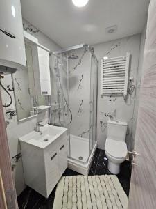 a bathroom with a shower and a toilet and a sink at Apartment Anita Cetinje 2 in Cetinje +6 photos