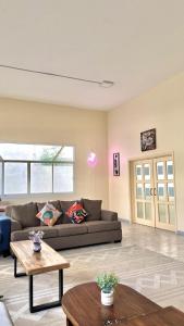 Khu vực ghế ngồi tại Lunar Beach Hostel